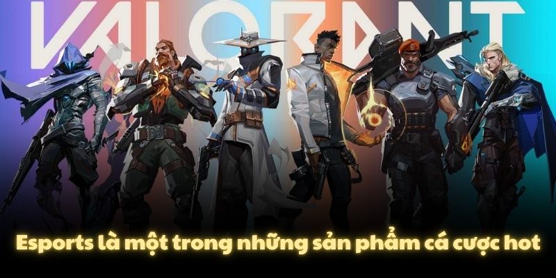 Esports là một trong những sản phẩm cá cược hot