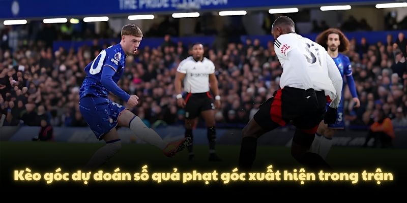 Kèo góc dự đoán số quả phạt góc xuất hiện trong trận