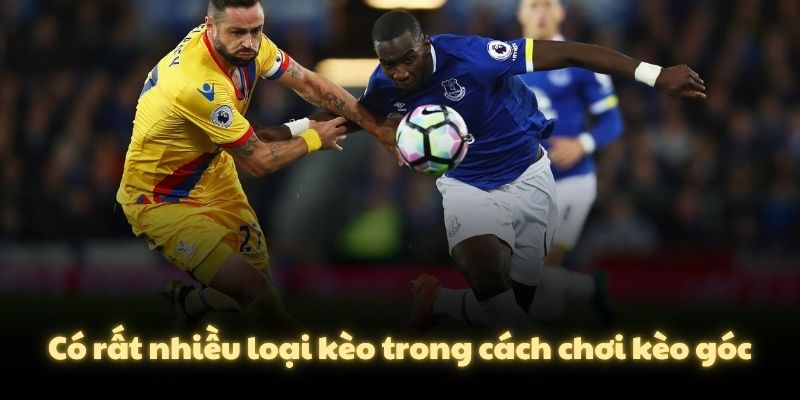 Có rất nhiều loại kèo trong cách chơi kèo góc
