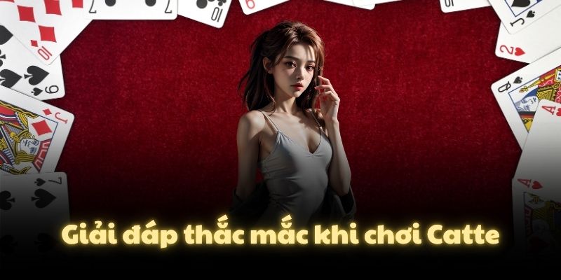 Giải đáp thắc mắc khi chơi Catte