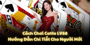 Cách Chơi Catte LV88 - Hướng Dẫn Chi Tiết Cho Người Mới